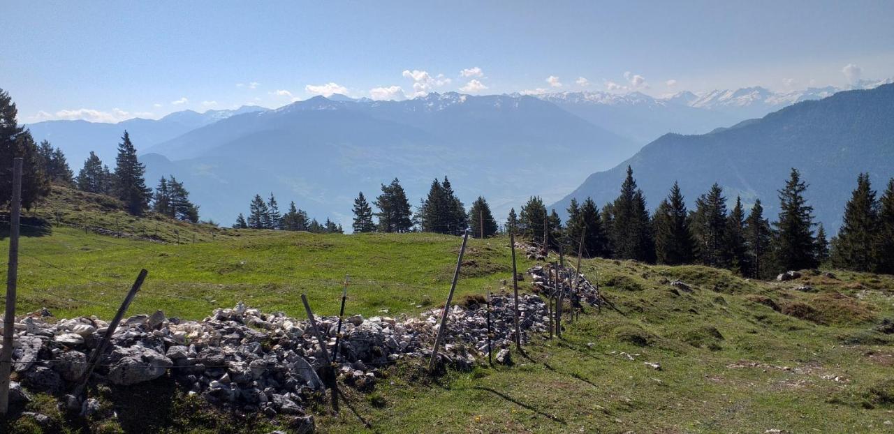Ferienwohnungen Hochzillertal Kaltenbach Exterior photo